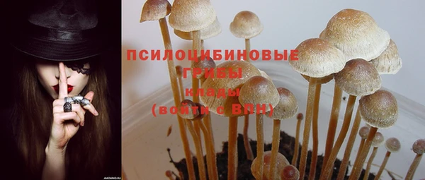 2c-b Липки