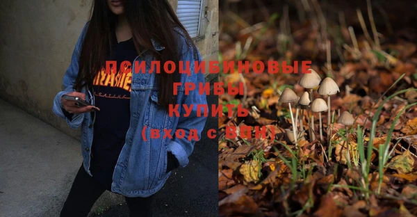 MDMA Premium VHQ Ладушкин