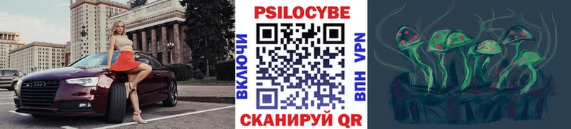 Галлюциногенные грибы Psilocybine cubensis  Шадринск 